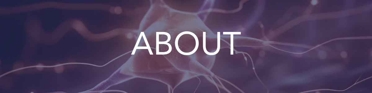 About Neurocritical Care Foundation